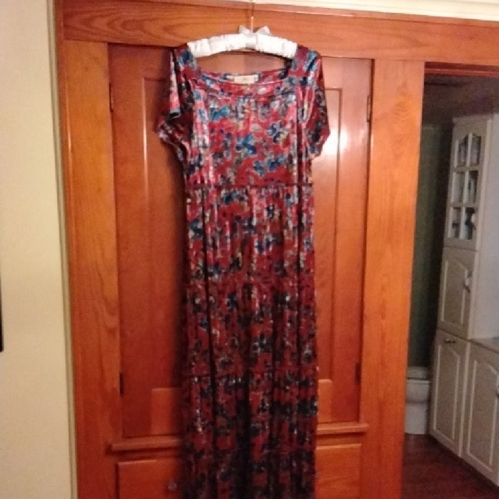 NATURAL LIFE Red and Blue Velvet Maxi Dress